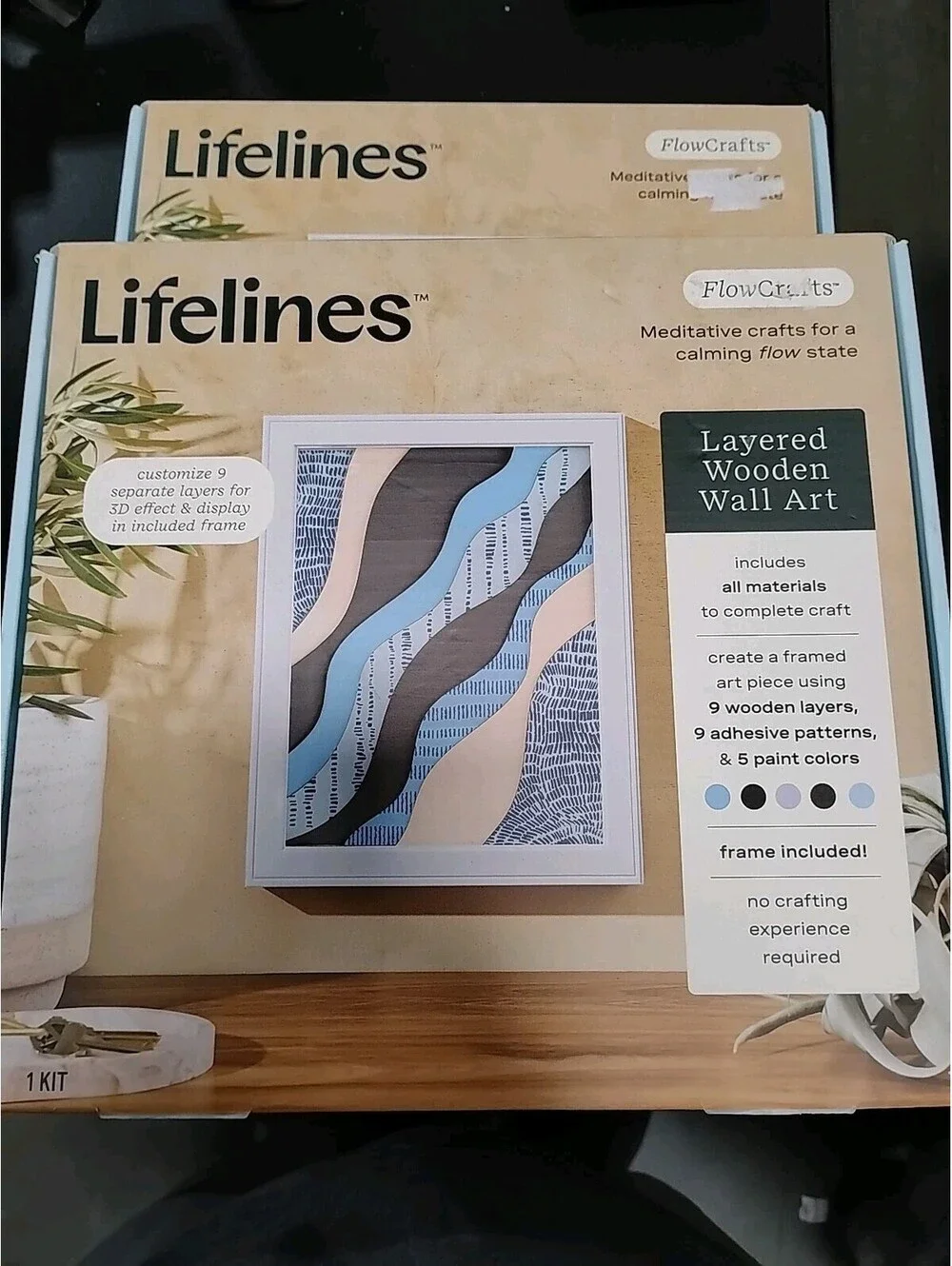 2 Pack- Lifelines FlowCrafts, Layered Wooden Wall Art